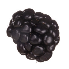 single blackberry isolated on white background