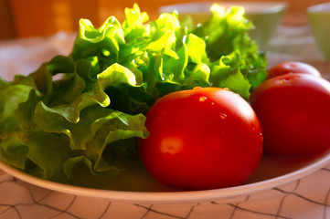 tomatoes and lettuce leaves