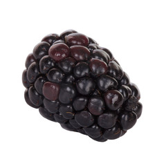 single blackberry isolated on white background