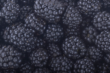 fresh blackberries background