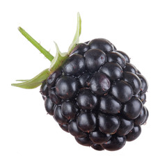 blackberry isolated on white background