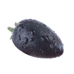 single honeyberry with water drops isolated on white background