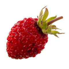 single fresh red wild strawberry isolated on white background