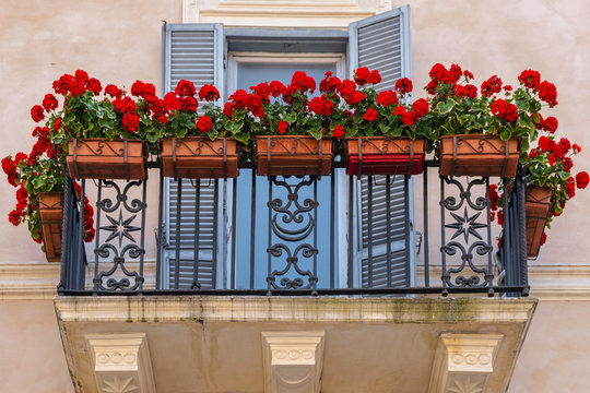 beautiful cosines balcony with flowers and blue shutters