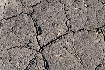 Cracked soil background