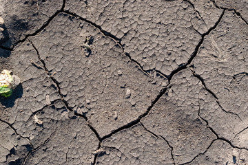 Cracked soil background
