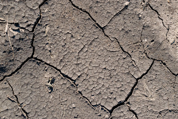 Cracked soil background
