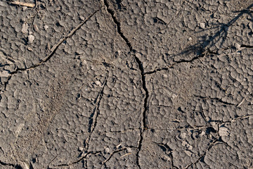 Cracked soil background