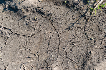 Cracked soil background