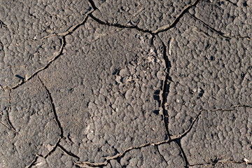 Cracked soil background