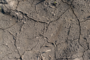 Cracked soil background