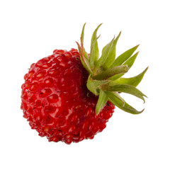 single fresh red wild strawberry isolated on white background