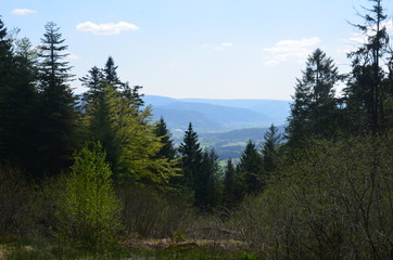 Col du Singe - Cleurie (88)