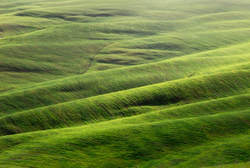 green fields and hills in Crete Senesi in Tuscany