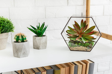 Scandinavian decor concept