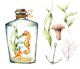 Watercolor nautical set with coral animals, plants, fish and anchor. Hand painted underwater branches, starfish, bottle isolated on white background. Illustration for design, print or background. © yuliya_derbisheva