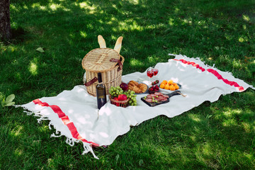 Summer picnic in the park on the green grass