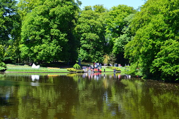 young plants in the garden
