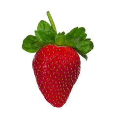 fresh strawberry isolated on white background