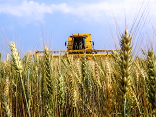 Combine harvester on a wheat field, in Parana State, south of Brazil