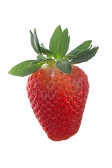fresh strawberry isolated on white background