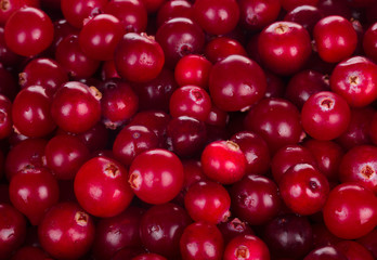 fresh heap of cranberries background