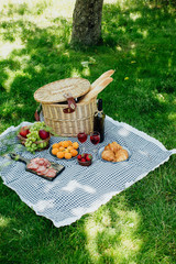 Summer picnic in the park on the green grass