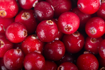 fresh heap of cranberries background
