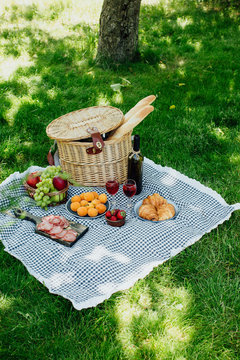 Summer picnic in the park on the green grass