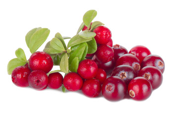 heap of cranberries and cowberries isolated on white background