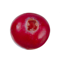 single red moorberry isolated on white background