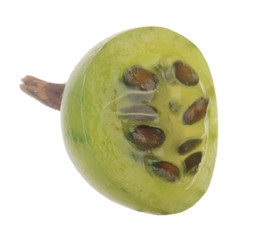 half of gooseberry isolated on white background