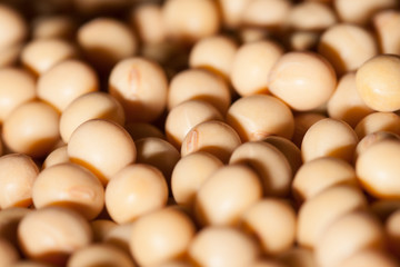 Brazilian soybean seeds background with selective focus