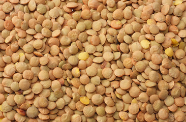 lentils background or texture. Food. healthy background