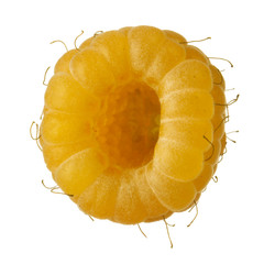 single yellow raspberry isoalted on white background