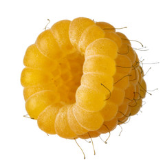 single yellow raspberry isoalted on white background