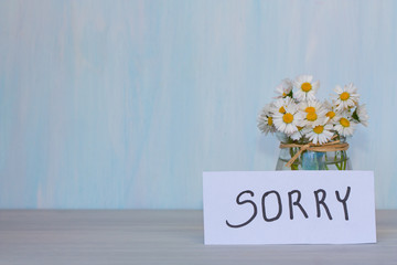 Word sorry and flowers on light background.