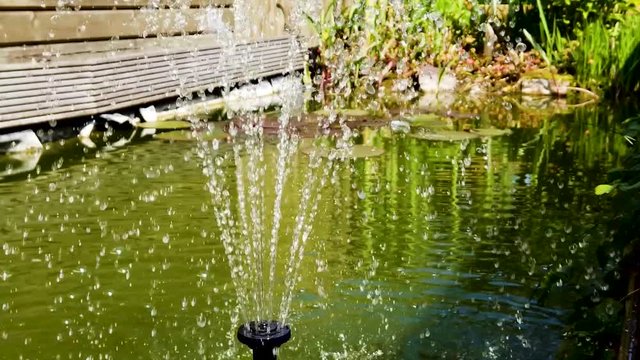 Slow motion (x0.5) close-up shot of a fountain in a small backyard pond in sunlight splashing it's water drops joyfully around.