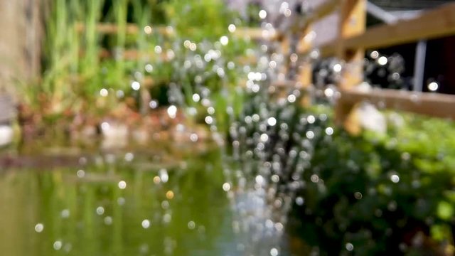 Blurred (intended) close-up slow-motion (x0.5) pan shot of a fountain in a small backyard pond in sunlight splashing it's water drops joyfully around.