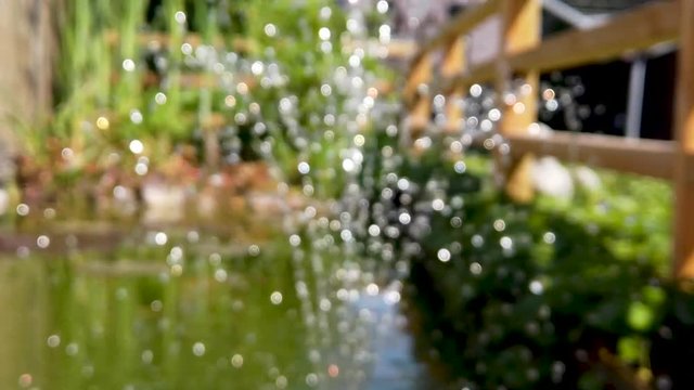 Blurred (intended) close-up slow-motion (x0.25) pan shot of a fountain in a small backyard pond in sunlight splashing it's water drops joyfully around.