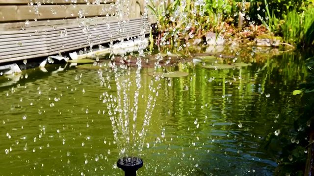 Slow motion (x0.25) close-up shot of a fountain in a small backyard pond in sunlight splashing it's water drops joyfully around.