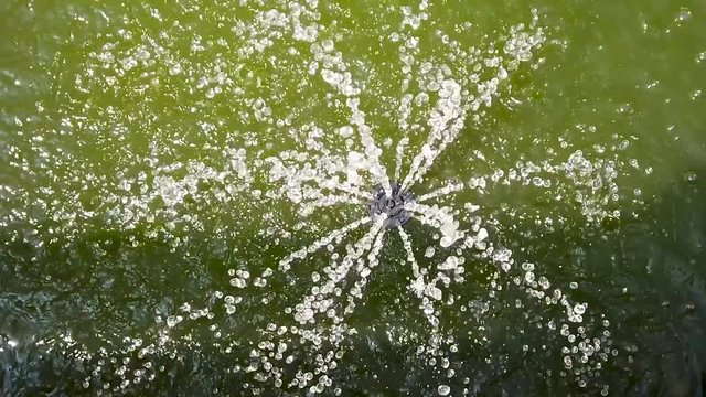 Slow motion (x0.5) close-up top down shot of a fountain in a small backyard pond in sunlight splashing it's water drops joyfully around.