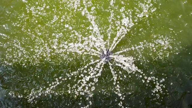 Slow motion (x0.25) close-up top down shot of a fountain in a small backyard pond in sunlight splashing it's water drops joyfully around.