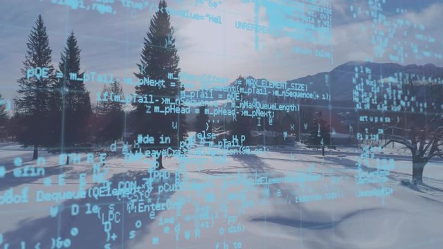 Digital codes and snowy field with pines