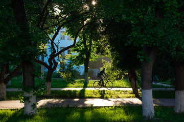 A silhouette of a male biker riding a bycicle along the sunlit bike way of a city park, amidst trees backlit by sunset light.