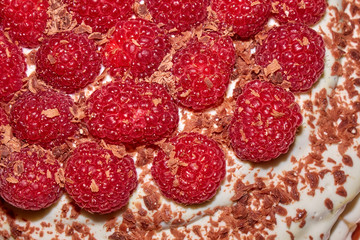Homemade cake with a fresh raspberry on top close-up
