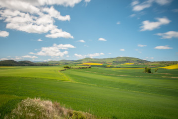 Beautiful agricultural landscape on the Way of St. James, Camino de Santiago between Ciruena and Santo Domingo de la Calzada in La Rioja, Spain