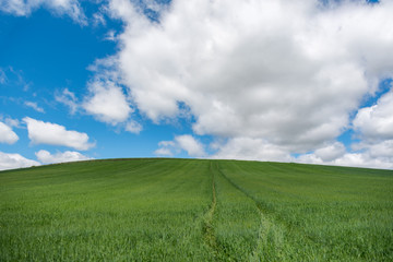 Beautiful agricultural landscape on the Way of St. James, Camino de Santiago between Ciruena and Santo Domingo de la Calzada in La Rioja, Spain