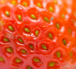 red background of strawberries, fresh, tasty and natural strawberries from grandfather's garden