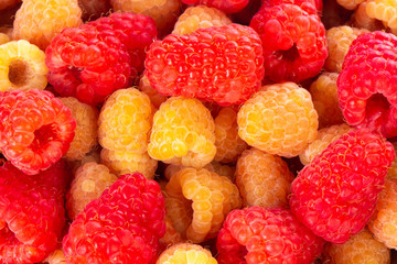 heap of red and yellow raspberries background